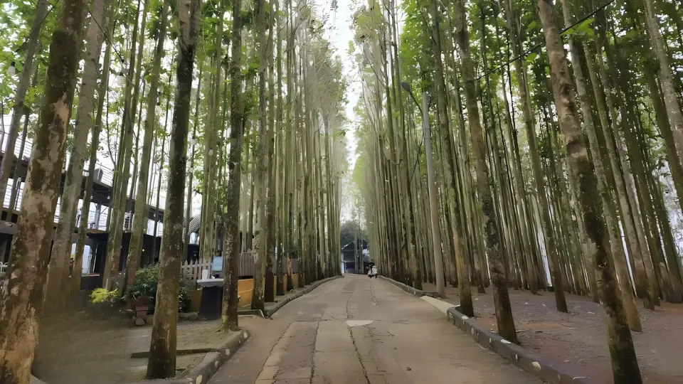 wisata jati ombo (1)